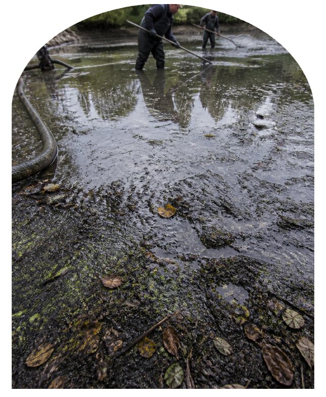 Очистка пруда в Урюпинске от ила мусора и водорослей с вывозом